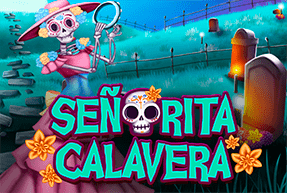bingoseoritacalavera