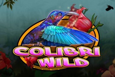 colibriwild