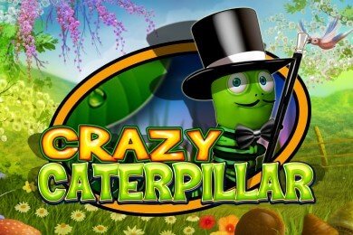 crazycaterpillar