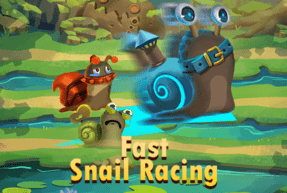 fastsnailracing