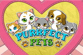 purrfectpets