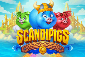 skandipigs