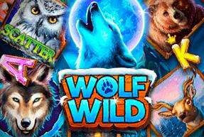 wolfwild